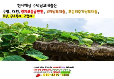 현대해상 주택담보대출 주부 무 소득자 고령자 주택담보대출 신용카드 사용금액 지역건강보험료 납부로 가능합니다