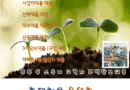 현대해상 아파트담보대출  구입잔금대출(MI80%) 대환대출 대부 대환대출 사업자대환대출 신탁 대환대출 신용 대환대출 3자담보대출 후순위 추가대출 아파트 1층일반가 대출 주부 무 소득자 고령자 주택담보대출