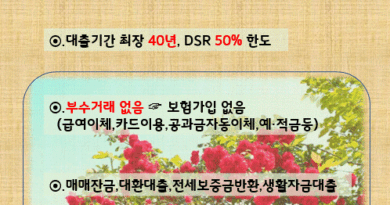 현대해상 아파트담보대출  매매잔금 최대80%(MI대출) 대환대출 전세퇴거자금대출 3자담보대출 후순위 추가대출  아파트 1층일반가대출