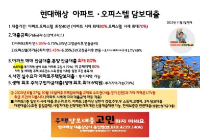 현대해상 오피스텔담보대출 매매잔금 분양잔금 최대70% 대환대출 전세퇴거자금대출 3자담보대출 대출기간 최대 40년 방 공제없음