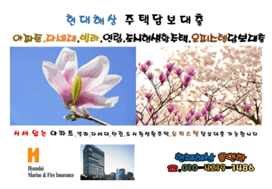 현대해상 오피스텔담보대출 시세 최대70%(방 공제없음) 대출기간 최장40년 매매잔금 대환대출 사업자대환 신탁대환 3자담보 후순위추가대출