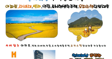 현대해상 아파트 빌라 다세대 오피스텔담보대출 매매잔금 대환대출 사업자대환 신탁대환 3자담보 아파트1층일반가 주부 무소득자 고령자주택담보대출